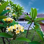 Cosy Homestay By Stayvista - A Tranquil Retreat On Cloud 9
