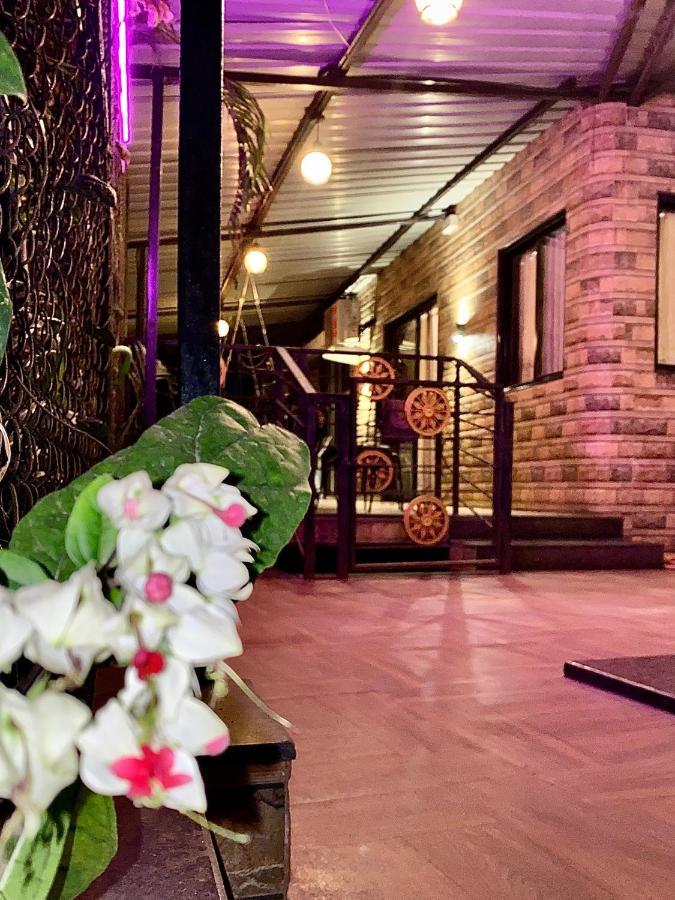 Bed & Breakfast Mount Bungalows - Mount Royal *
