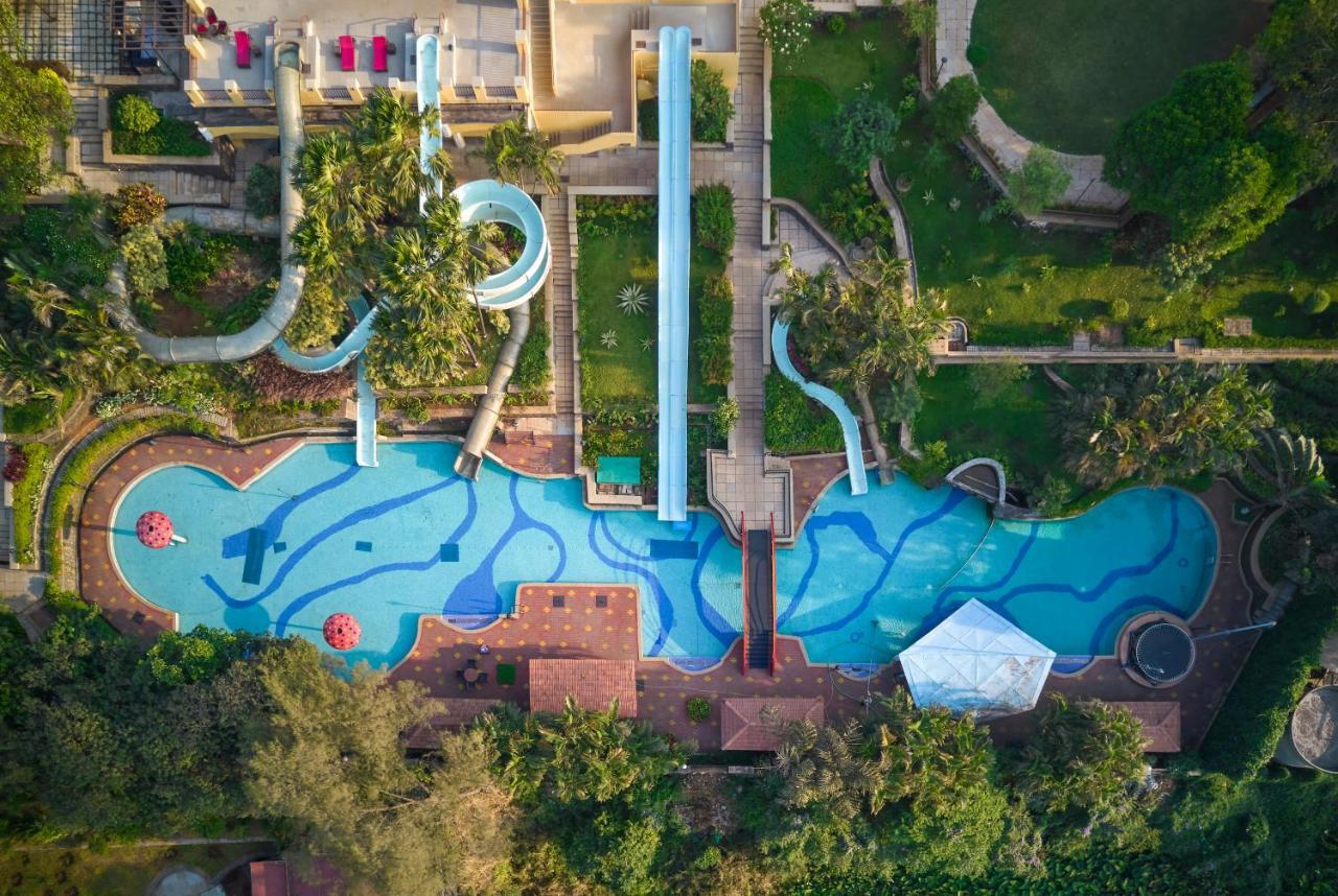 Fariyas