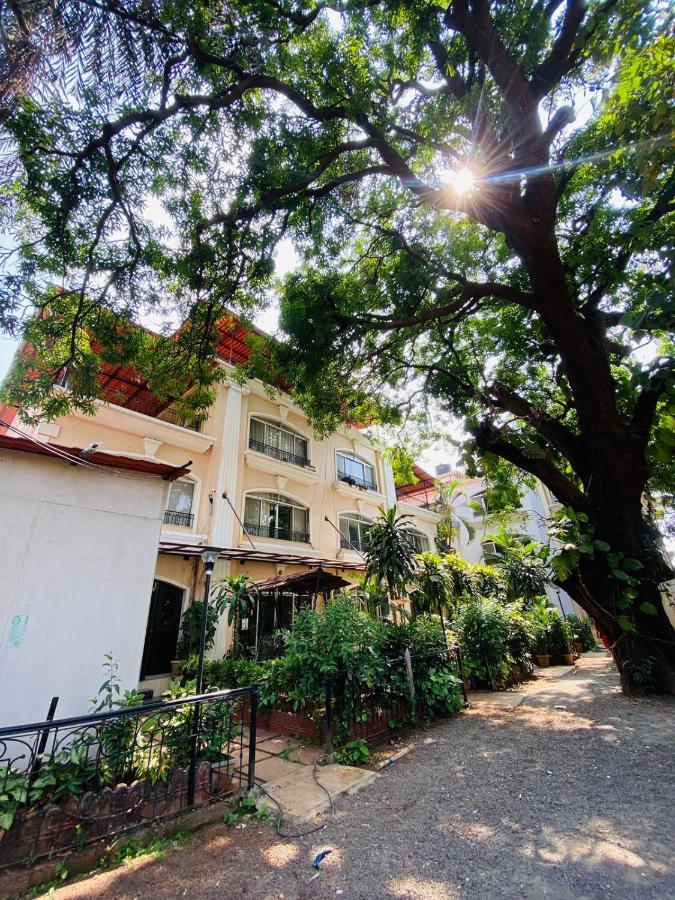 Ivy Pearl Row House No 4 Holiday home *