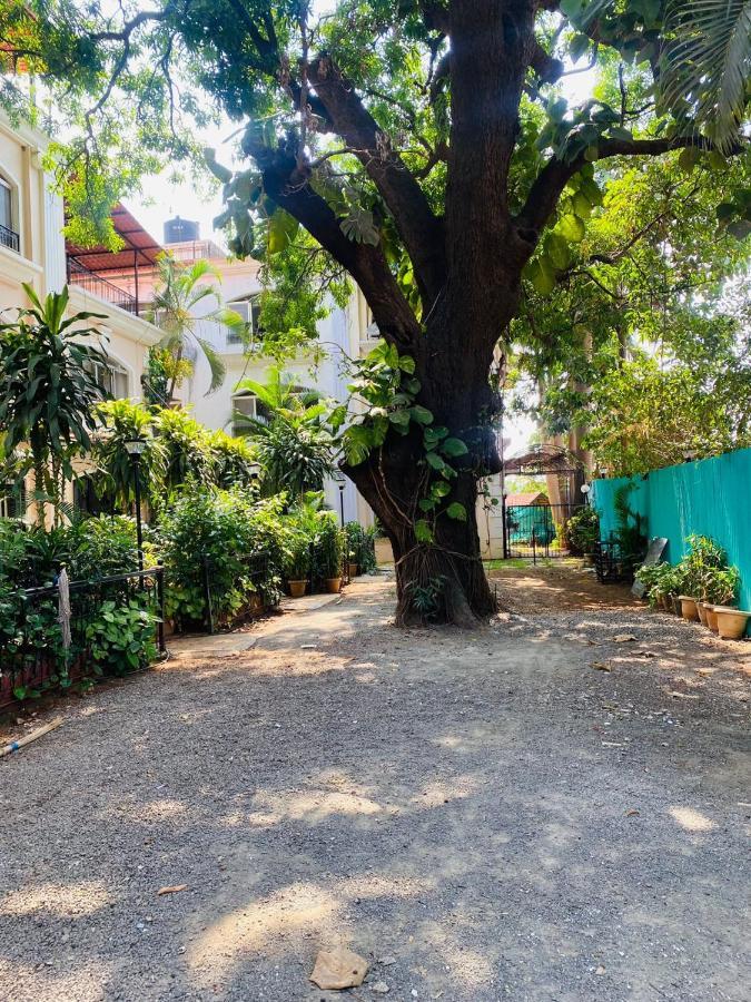Holiday home Ivy Pearl Row House No 4