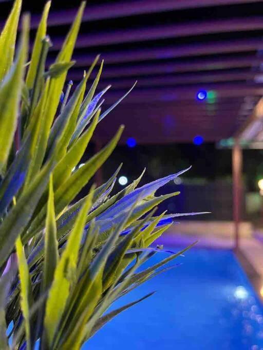 3bhk Glacia With A Private Swimming Pool Near Ekvira Temple * Lonavala