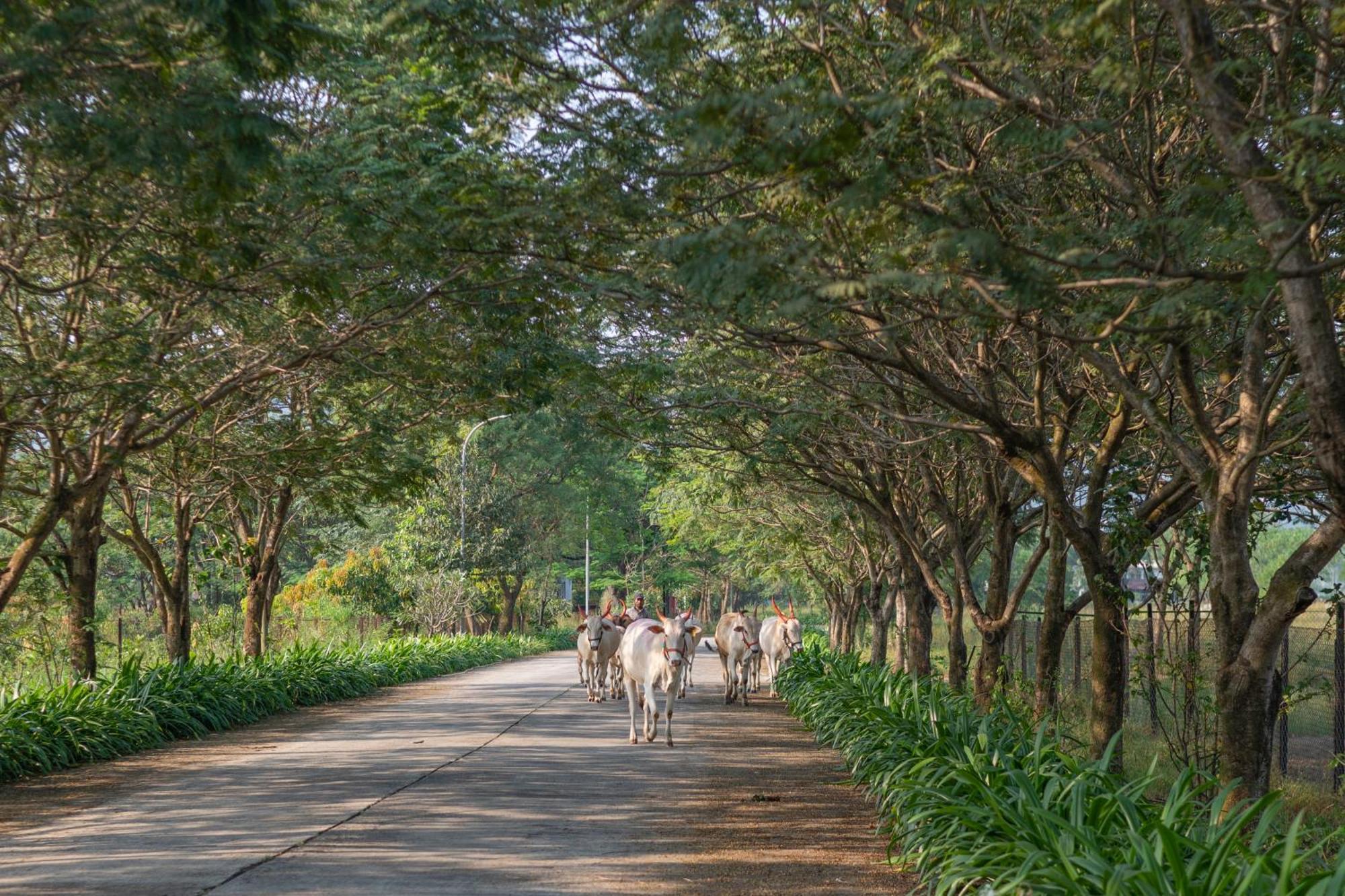 Sterling Stolen Heaven 4* Lonavala