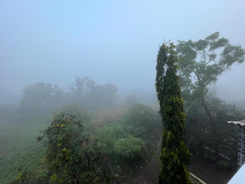 Phoenix * Lonavala