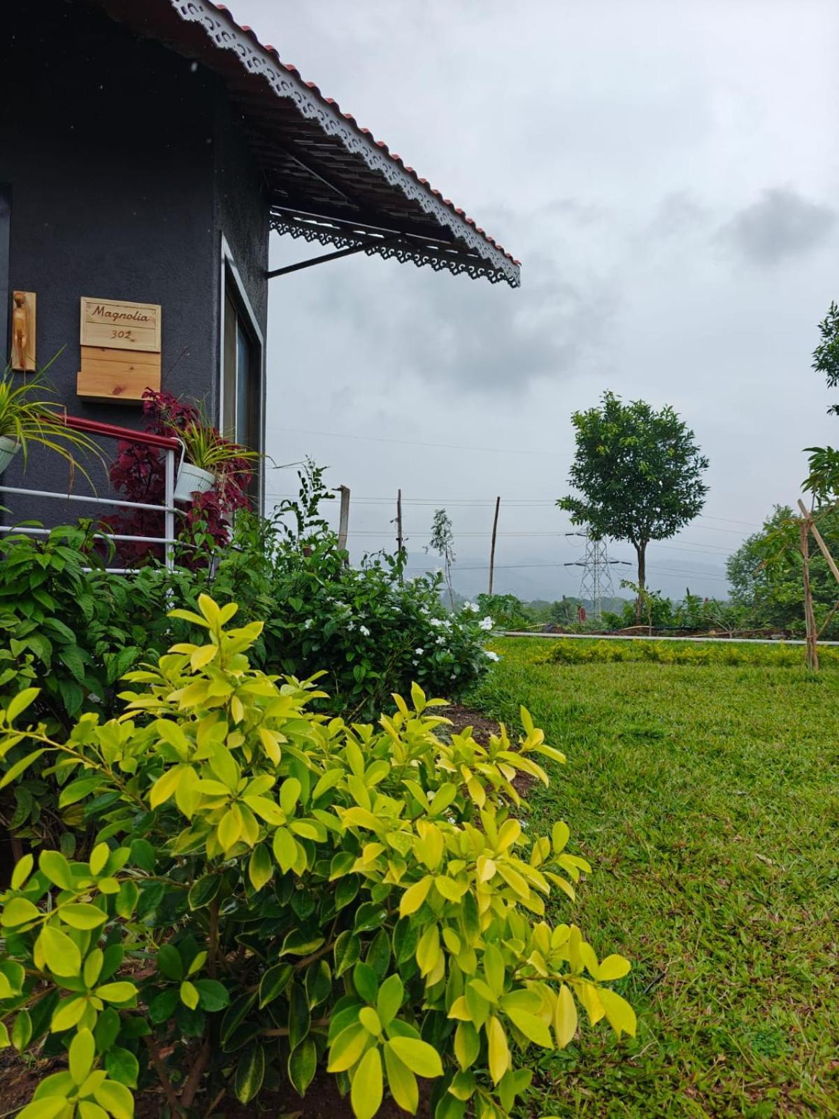 Resort Varuwoods - Luxury Boutique Resort, Trekking & Water Sports 3*