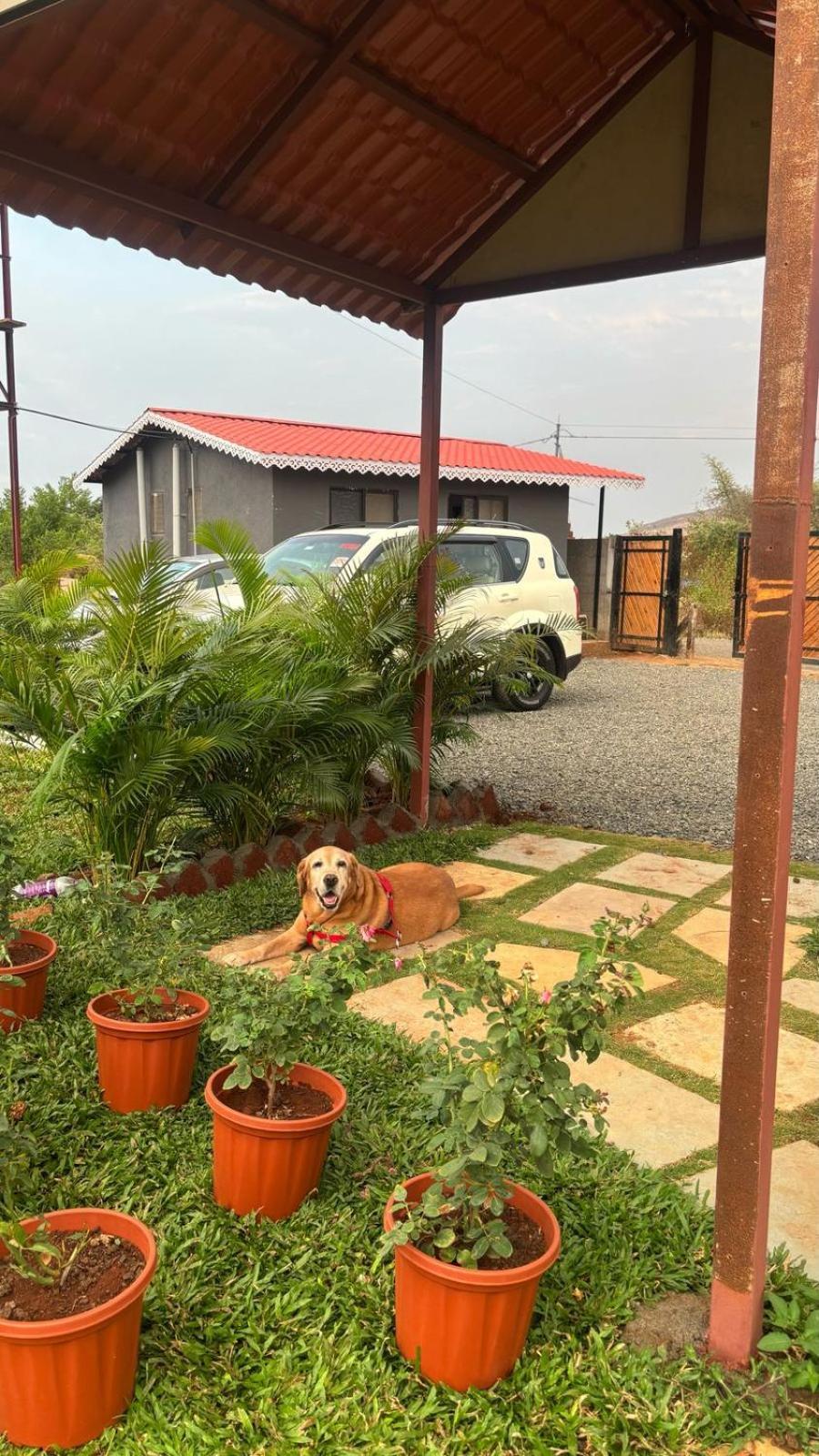 Resort Varuwoods - Luxury Boutique Resort, Trekking & Water Sports Lonavala